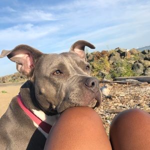 Meet your Posher, Bryan